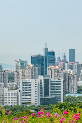 莲花山公园