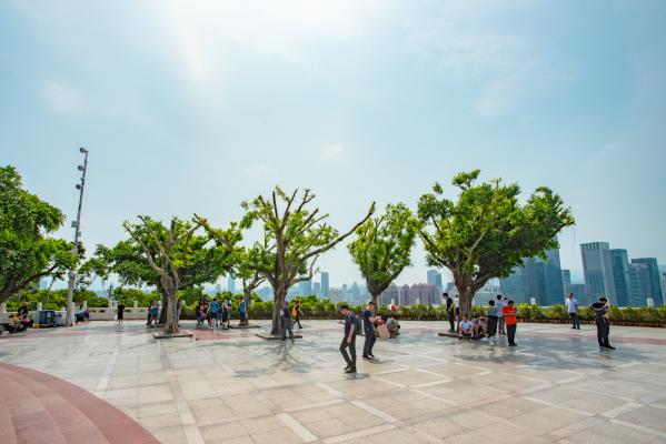 莲花山公园