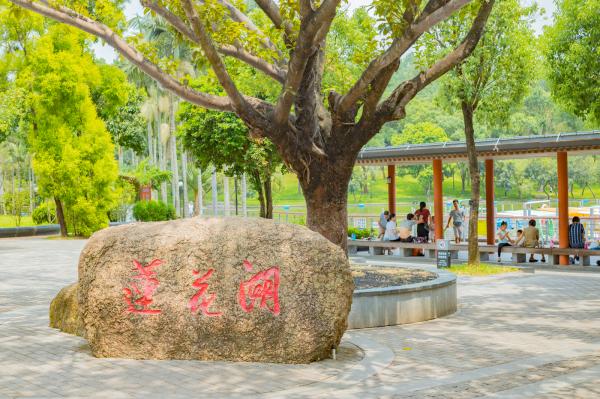 莲花山公园