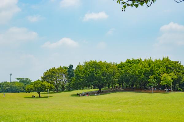 莲花山公园