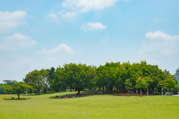 莲花山公园