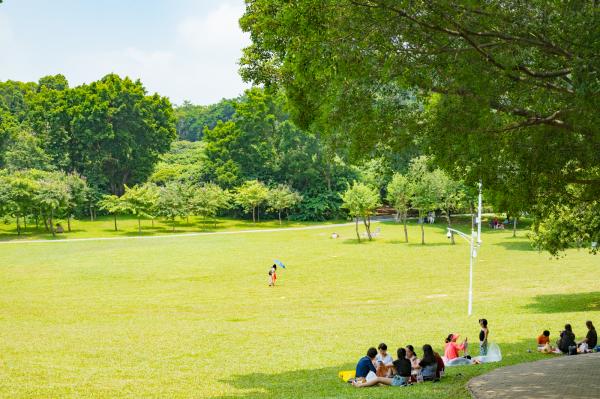 莲花山公园