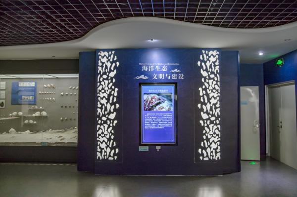 蛇口海洋博物馆