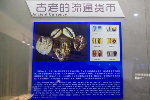 蛇口海洋博物馆
