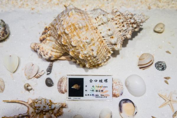 蛇口海洋博物馆