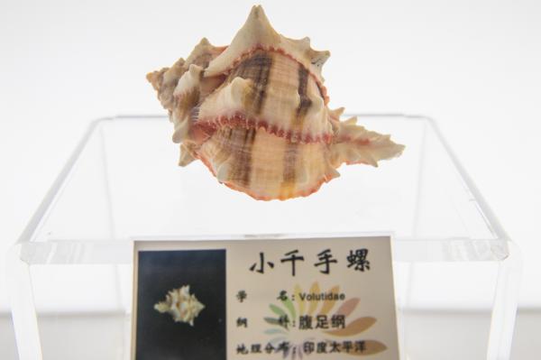 蛇口海洋博物馆