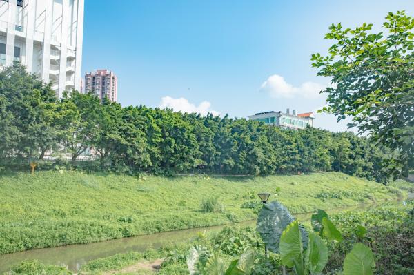 罗湖体育休闲公园