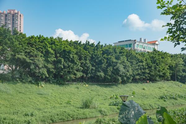 罗湖体育休闲公园