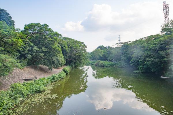 东湖公园
