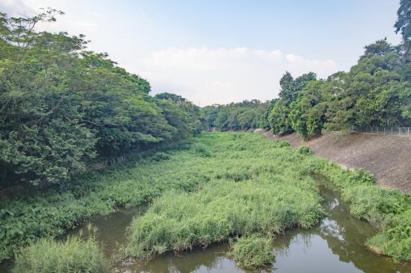 东湖公园