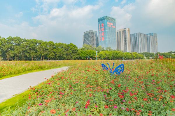 新安花田