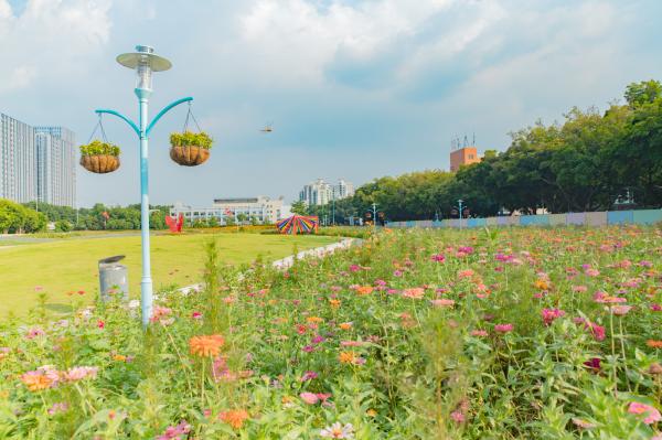新安花田
