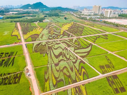 光明小镇欢乐田园