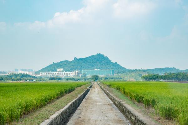 光明小镇欢乐田园