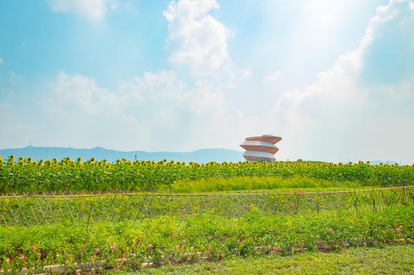 光明小镇欢乐田园