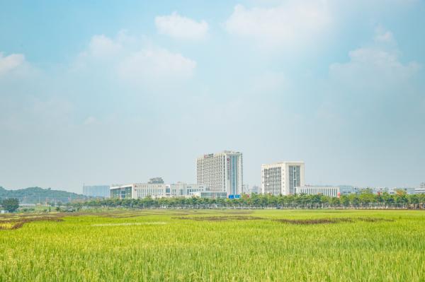 光明小镇欢乐田园