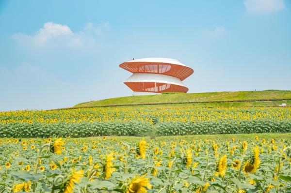 光明小镇欢乐田园