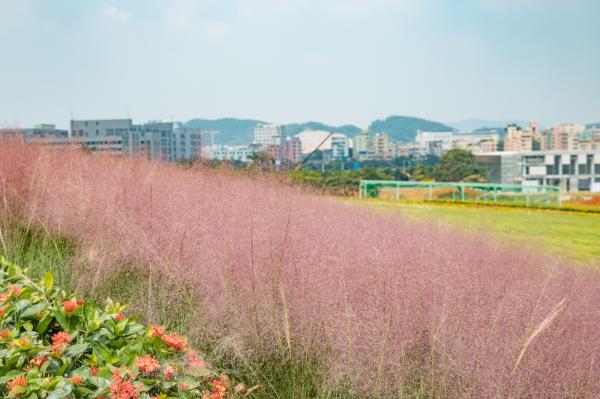 光明小镇欢乐田园