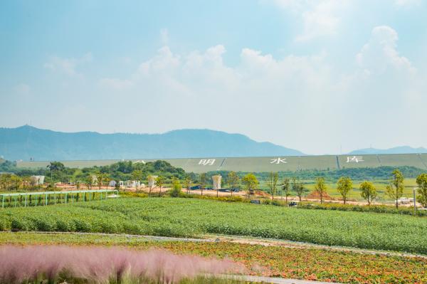 光明小镇欢乐田园