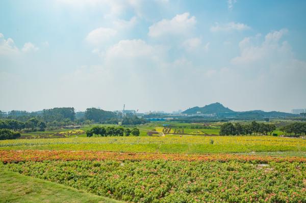 光明小镇欢乐田园