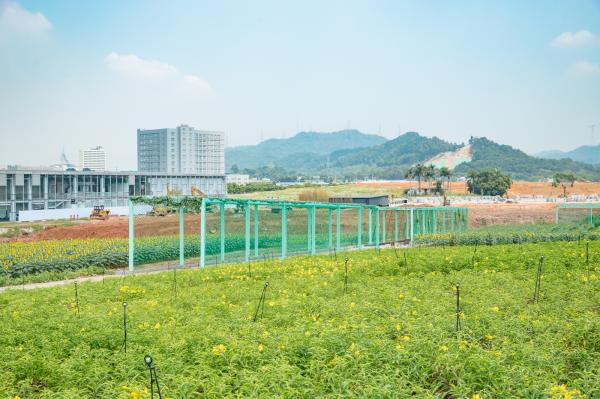 光明小镇欢乐田园