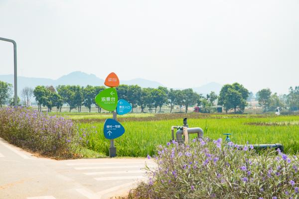光明小镇欢乐田园