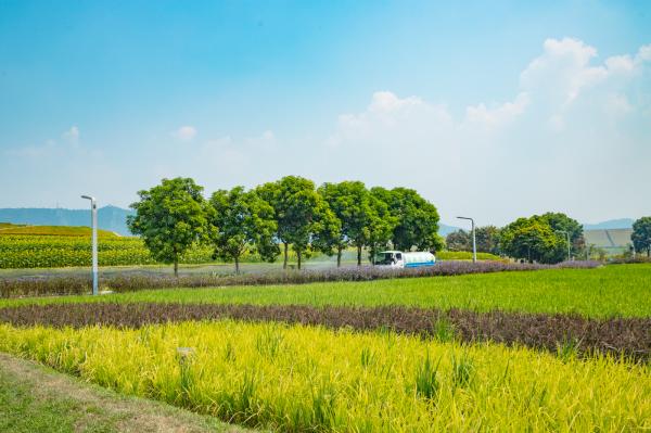 光明小镇欢乐田园