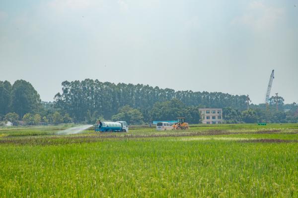 光明小镇欢乐田园