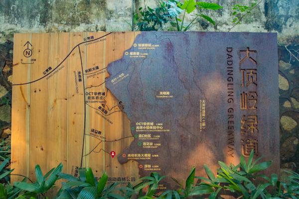 大顶岭绿道