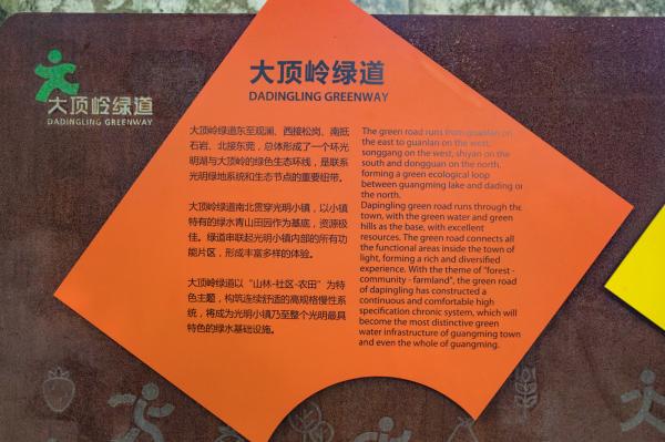大顶岭绿道