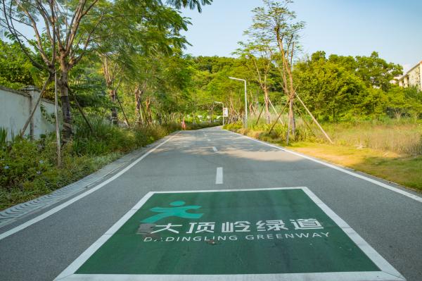 大顶岭绿道