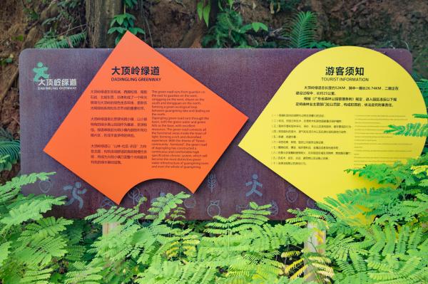 大顶岭绿道