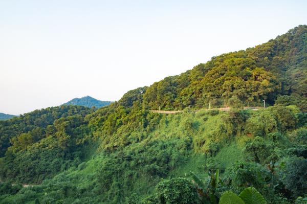 大顶岭绿道