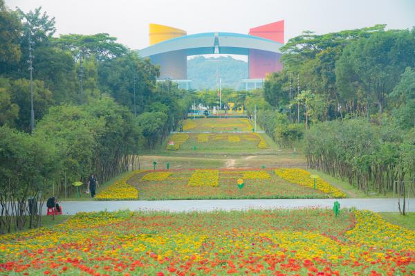 市民中心花海