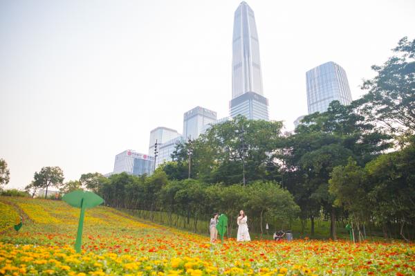 市民中心花海
