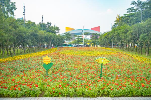 市民中心花海