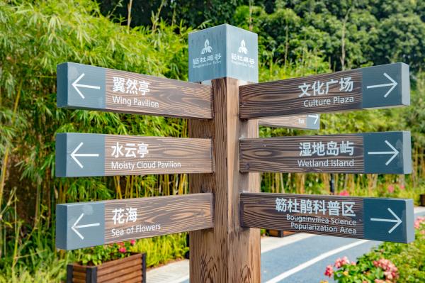 簕杜鹃谷