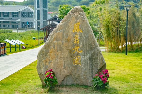 簕杜鹃谷