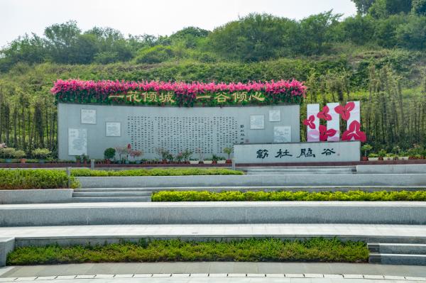 簕杜鹃谷