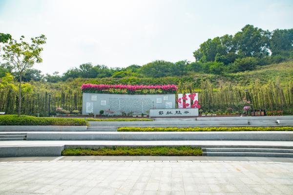 簕杜鹃谷