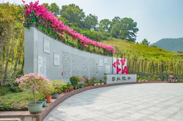 簕杜鹃谷