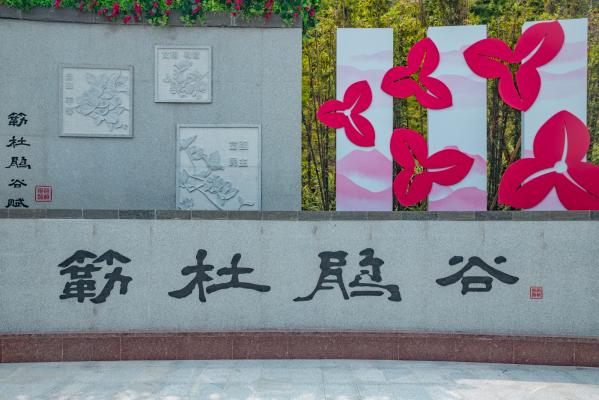 簕杜鹃谷