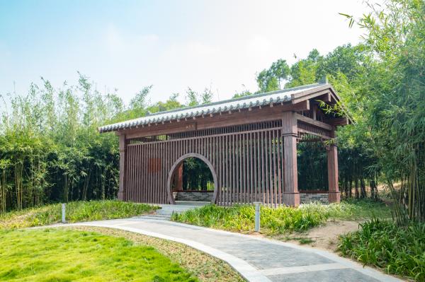 簕杜鹃谷