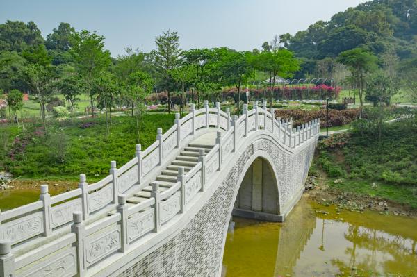 簕杜鹃谷