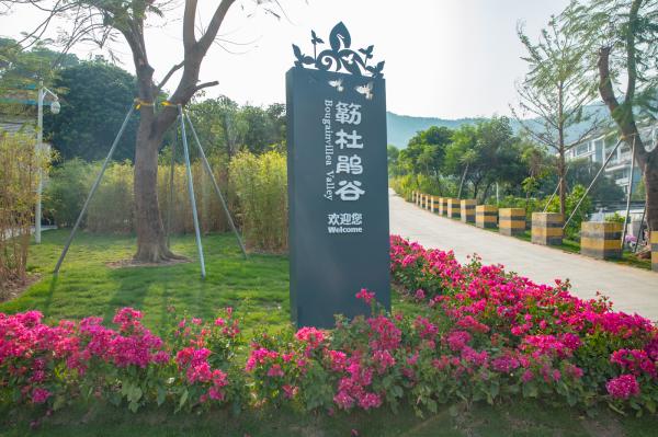 簕杜鹃谷