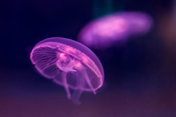宝安科技馆