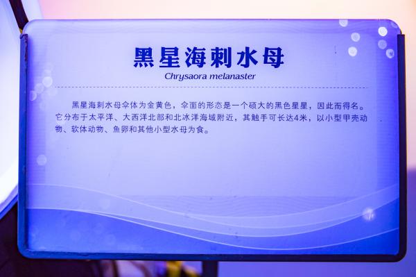 宝安科技馆