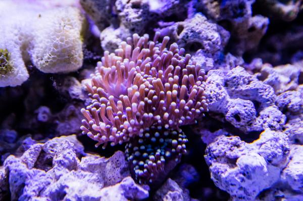 宝安科技馆