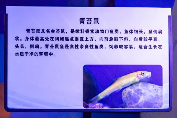 宝安科技馆