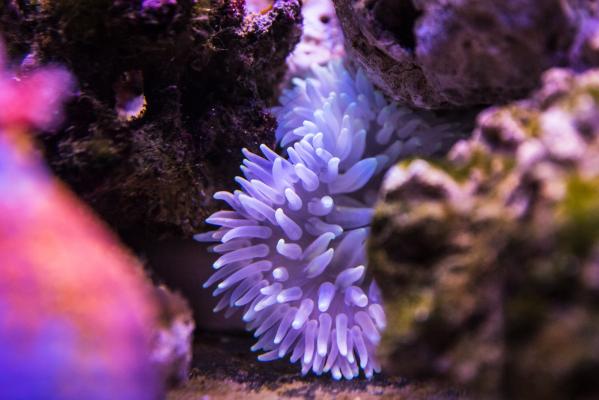 宝安科技馆